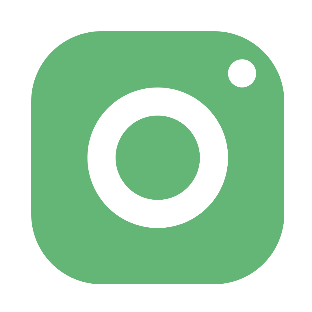 White Instagram icon on green circle